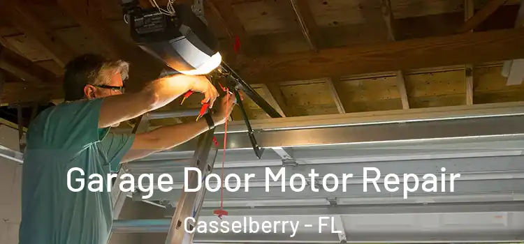  Garage Door Motor Repair Casselberry - FL