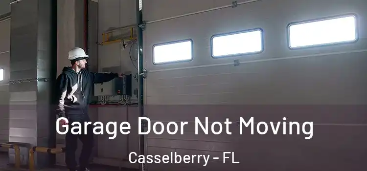  Garage Door Not Moving Casselberry - FL