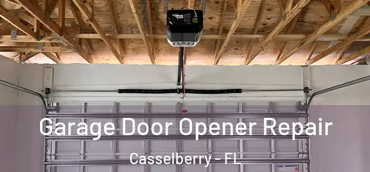  Garage Door Opener Repair Casselberry - FL