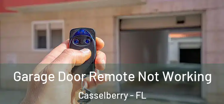  Garage Door Remote Not Working Casselberry - FL