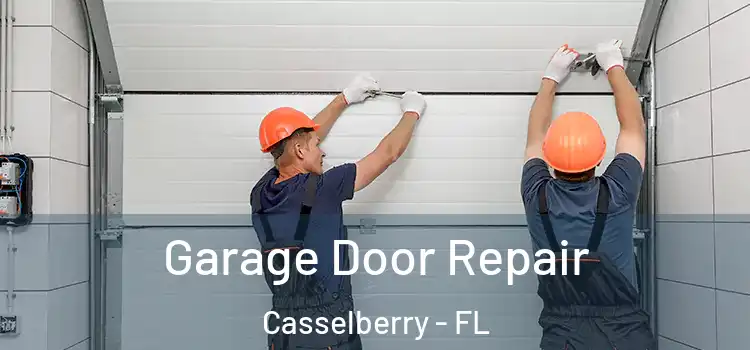  Garage Door Repair Casselberry - FL