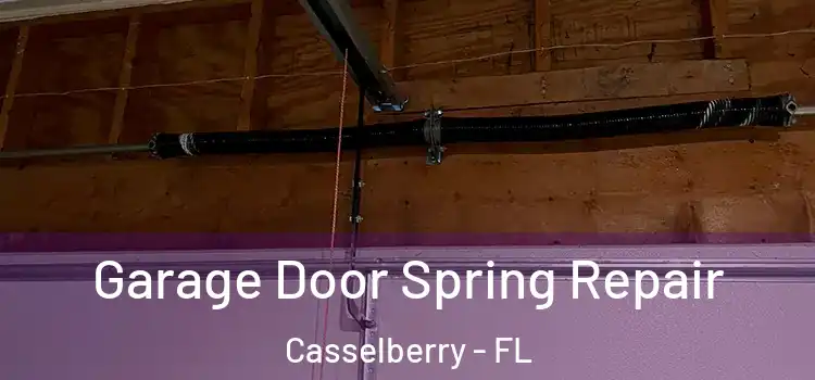  Garage Door Spring Repair Casselberry - FL