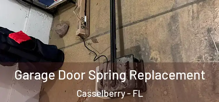  Garage Door Spring Replacement Casselberry - FL