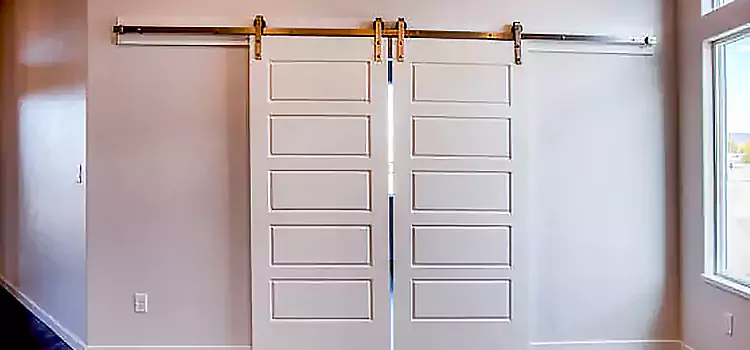 Glass Barn Door with Installation Hardware Kit Casselberry