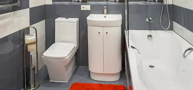 Hansgrohe Shaving Mirror Casselberry