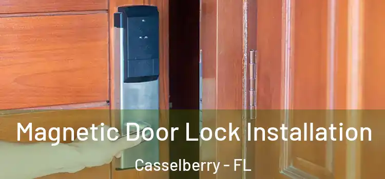  Magnetic Door Lock Installation Casselberry - FL